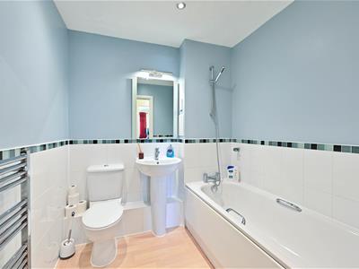 Picture 7
